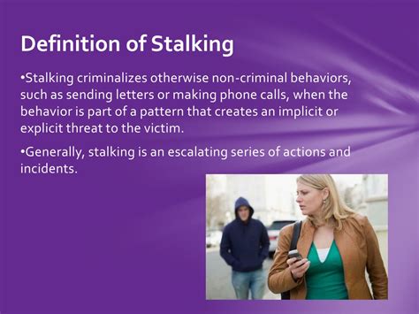 Stalker Definition & Meaning .